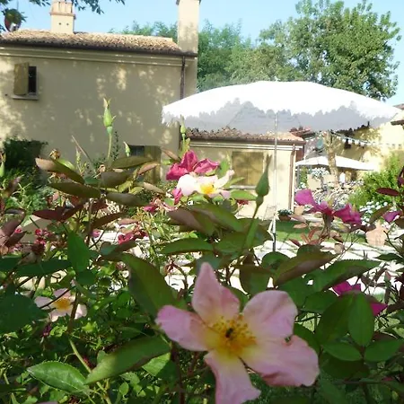Casina Le Conserve 招待所 2*
